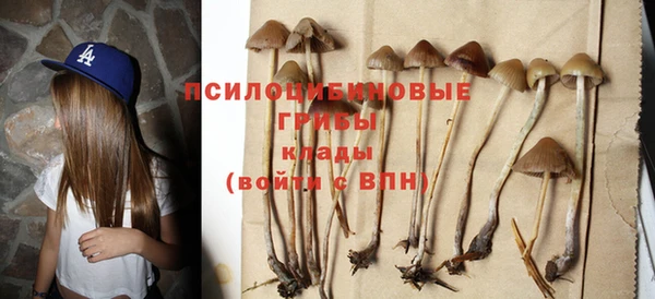 тгк Баксан